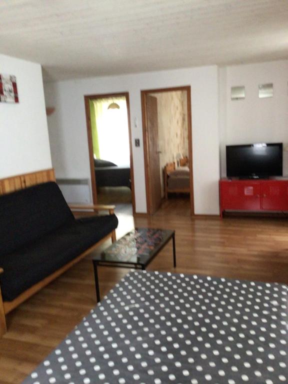 a living room with a couch and a tv at Appartement Les Iris in Luz-Saint-Sauveur