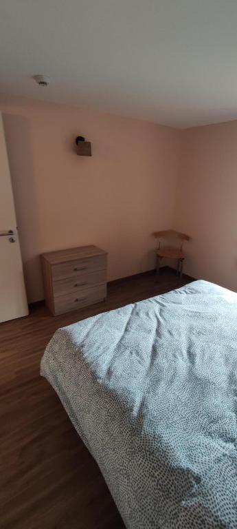 Postel nebo postele na pokoji v ubytování Les gîtes d'Argentin