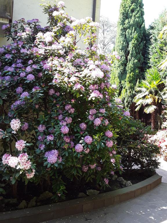 Vonkajšia záhrada v ubytovaní Villa Coris Ferienwohnung Palma