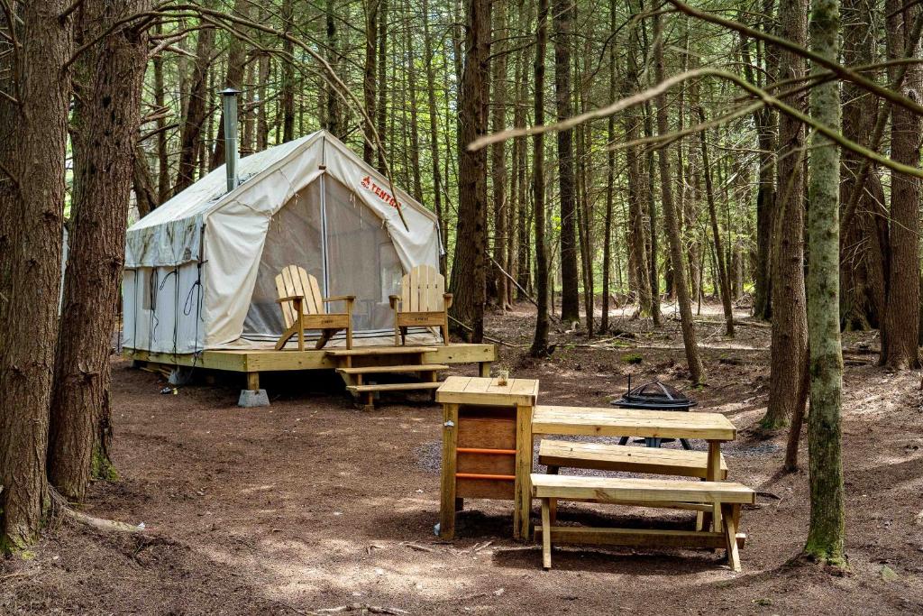9+ Tent In The Woods