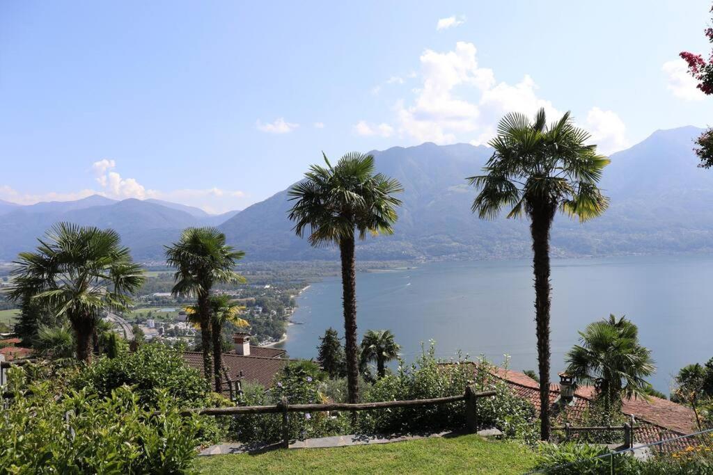 Fotografie z fotogalerie ubytování Wohlfühloase mit Traumaussicht / sehr ruhige Lage v destinaci Brione sopra Minusio