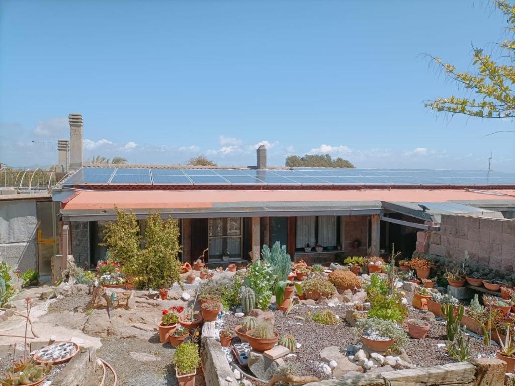 un jardín de cactus y otras plantas frente a una casa en Casa vacanza Ligustro appartamento il gabbiano, en SantʼAntìoco
