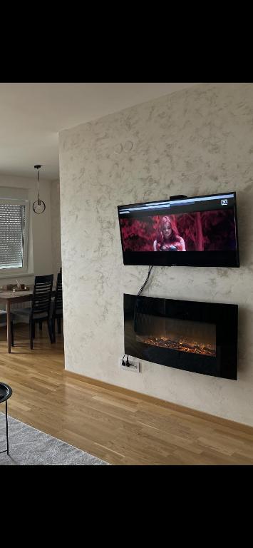 TV a/nebo společenská místnost v ubytování Apartman Didi-free parking