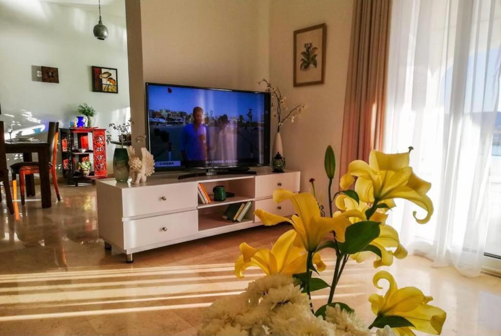 TV a/nebo společenská místnost v ubytování Babel Apartments el gouna