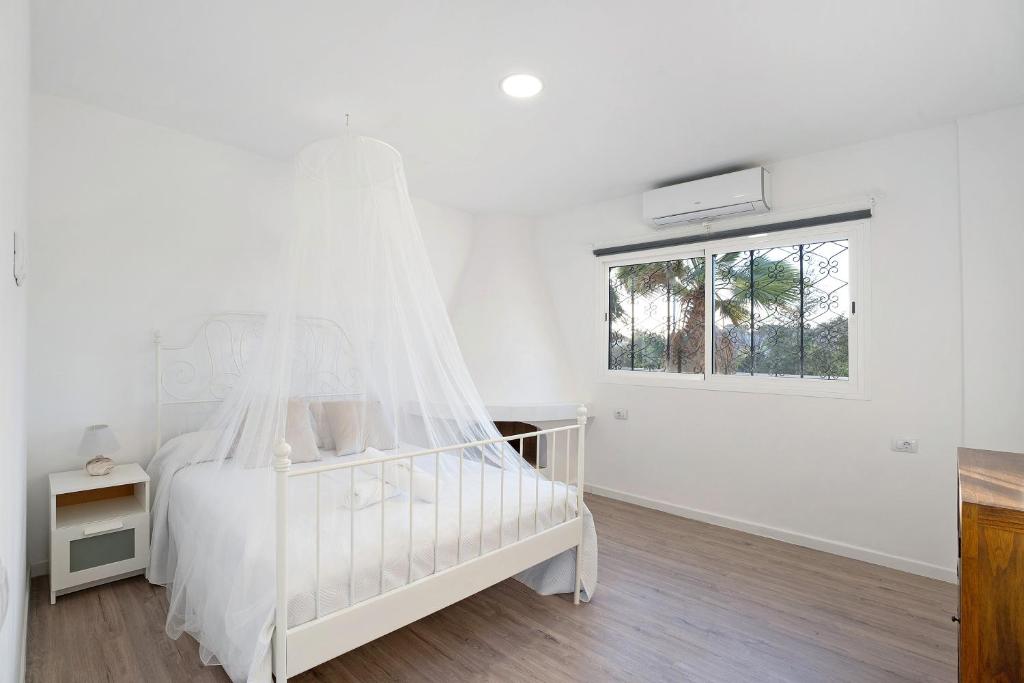 Fotografie z fotogalerie ubytování Apartment Trébol Planta Baja 4 hab v destinaci Arona