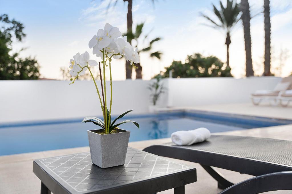 Fotografie z fotogalerie ubytování Apartment Trébol Planta Baja 4 hab v destinaci Arona