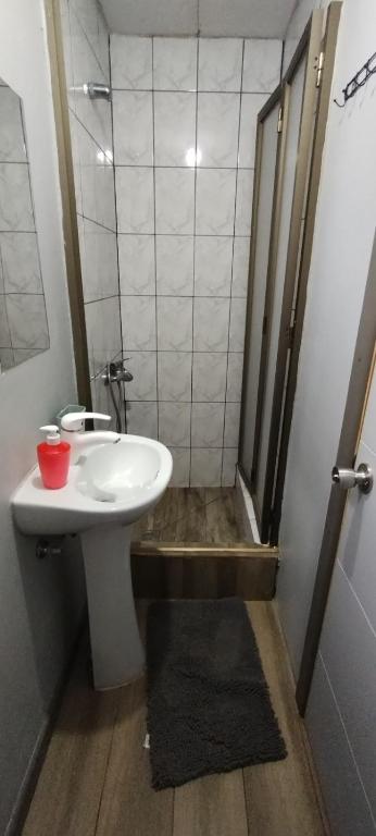 Vannituba majutusasutuses EL ROBLE 2.0 CHILLAN