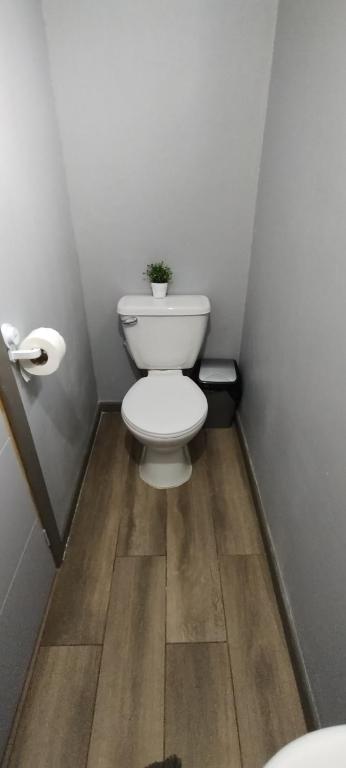Vannituba majutusasutuses EL ROBLE 2.0 CHILLAN