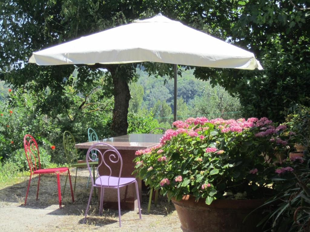 A garden outside A Casa di Lizzy B&B
