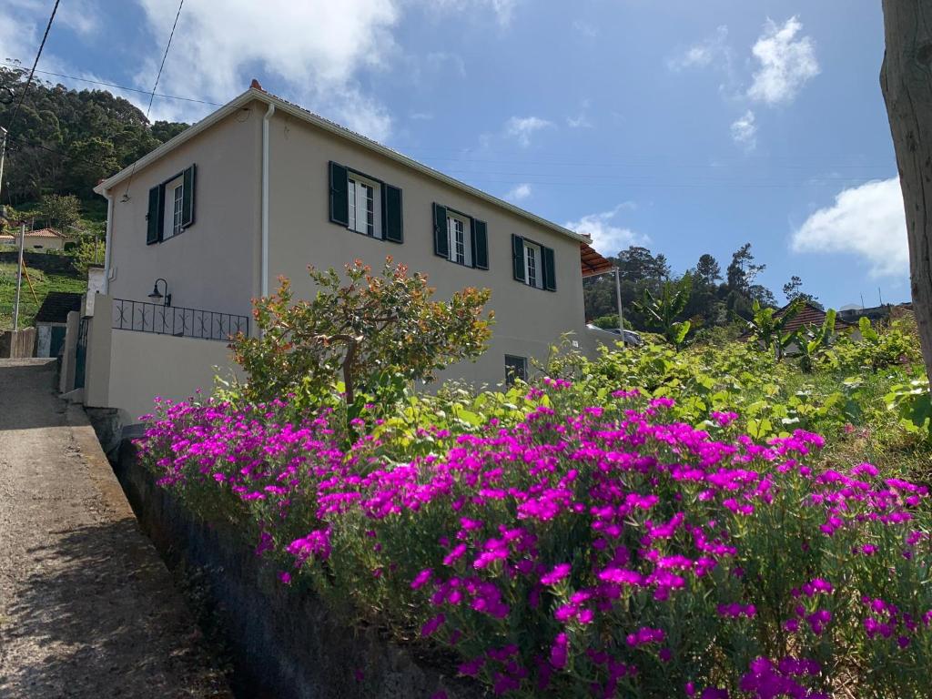 a house with pink flowers in front of it at Terra Batista house in Porto da Cruz
