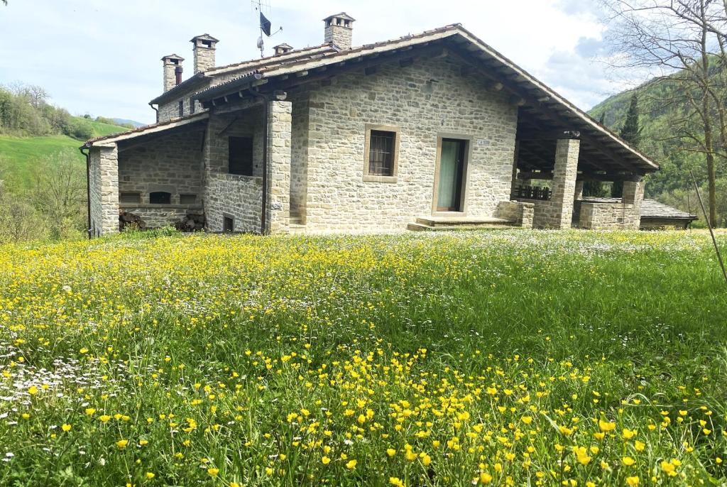 une ancienne maison en pierre dans un champ de fleurs dans l'établissement Gamberotti private valley, à Santa Sofia