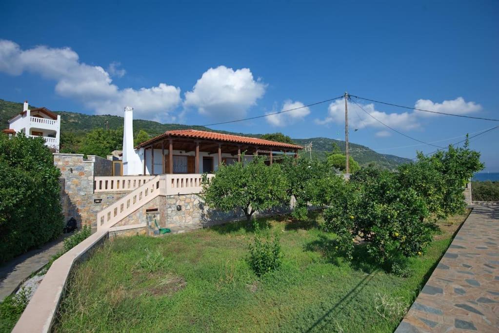 una casa con un patio con árboles delante de ella en Amaltheia, en Agios Dimitrios