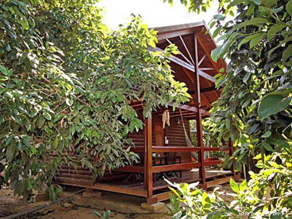 a wooden cabin in the middle of some trees at Bikta BaMata in Nahariyya