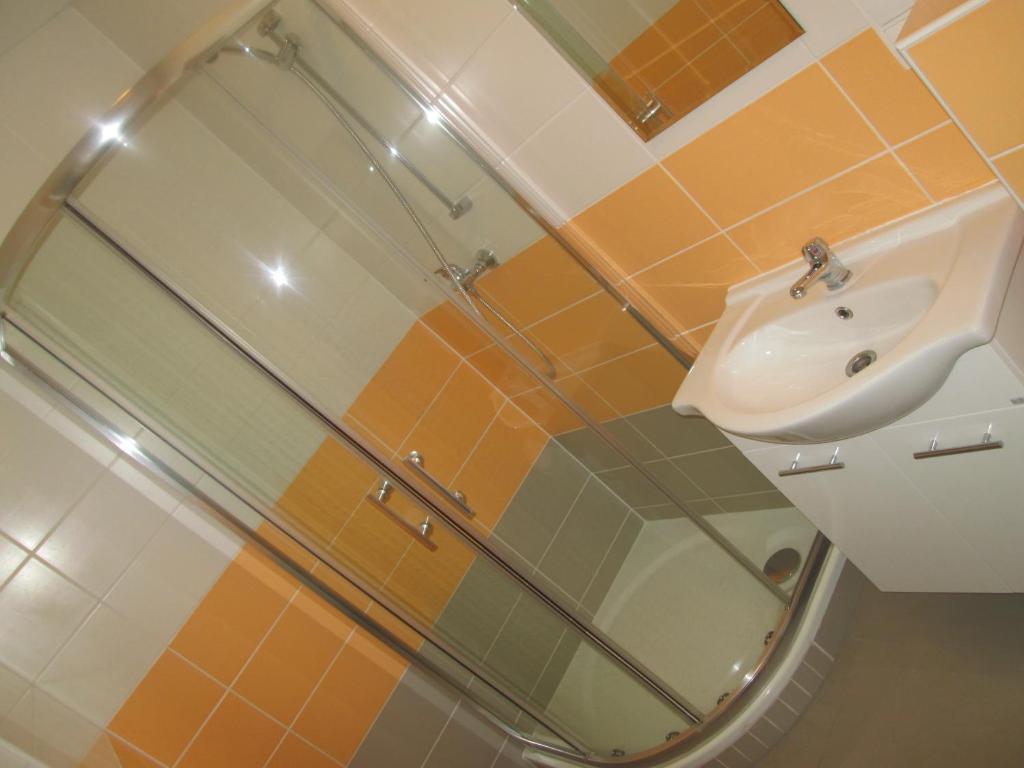 Koupelna v ubytování Polyfunkční dům Pasát