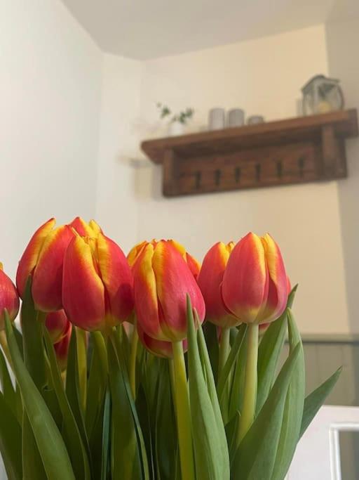 a group of red and yellow flowers in a vase at The Railway Cottage Bridgnorth in Bridgnorth