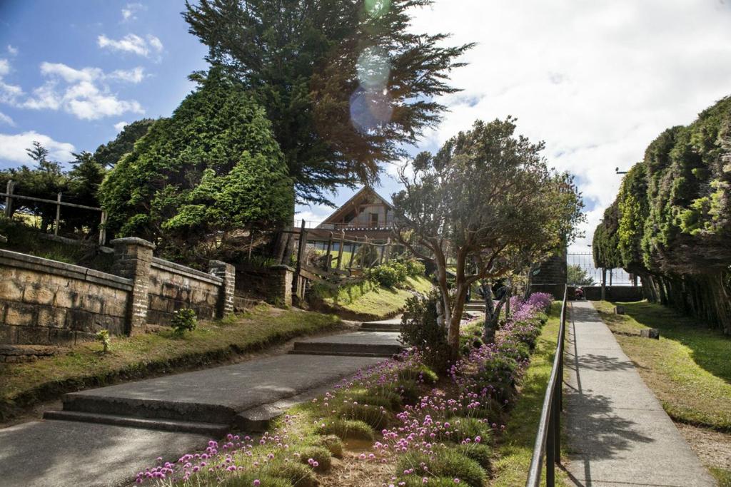 a garden with purple flowers on the side of a road at Panamericana Hotel Ancud in Ancud