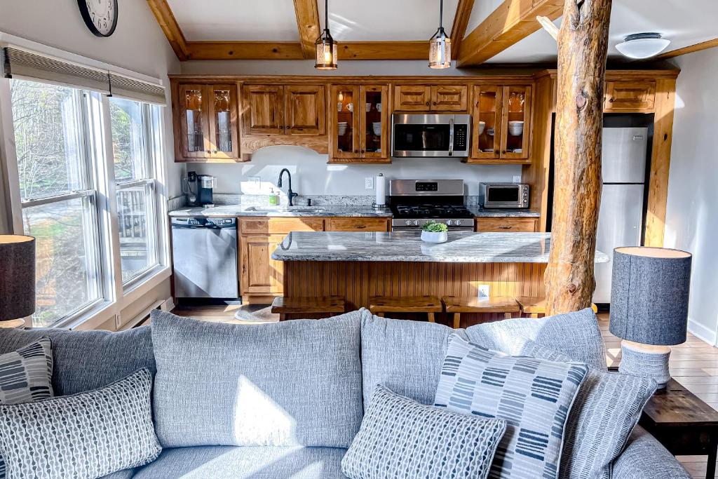 un salon avec un canapé et une cuisine dans l'établissement The Bee Branch 23, à Sugar Mountain