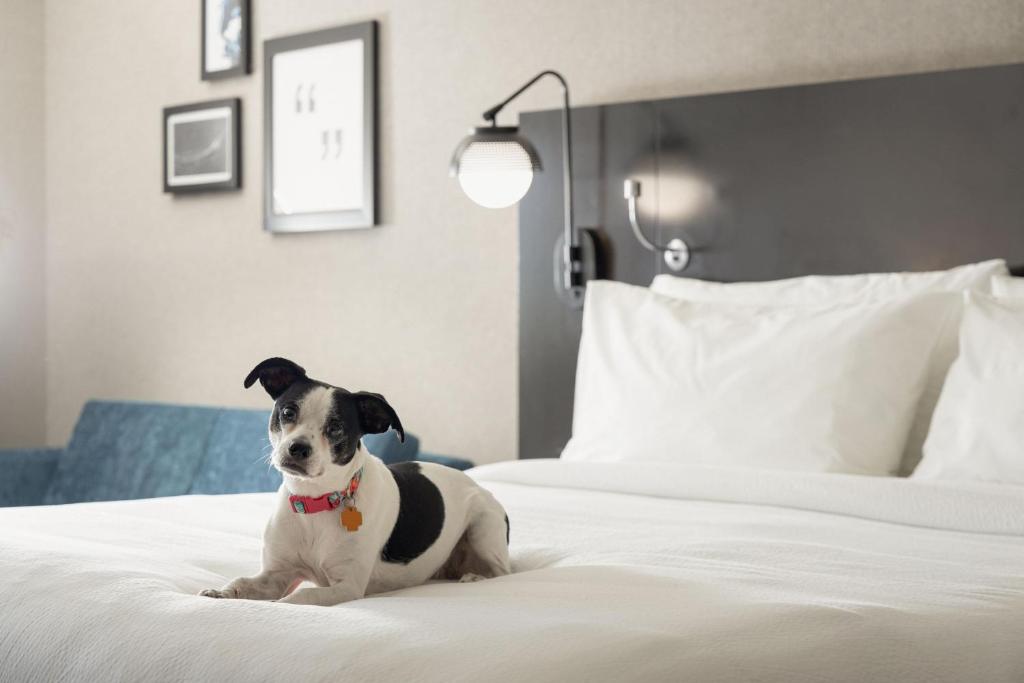 Four Points by Sheraton Milwaukee North Shore - Queen Room With Two Queen Beds