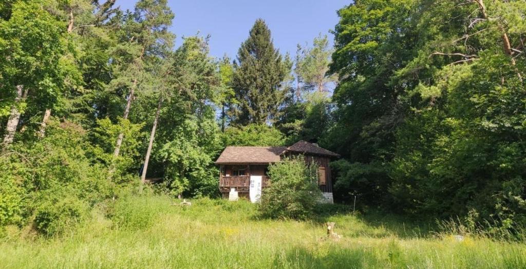 una pequeña casa en medio de un campo en Waldhaus auf dem Randen, Kanton Schaffhausen 