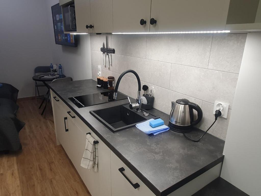 Apartamenty u Portera w Śródmieściu - 17