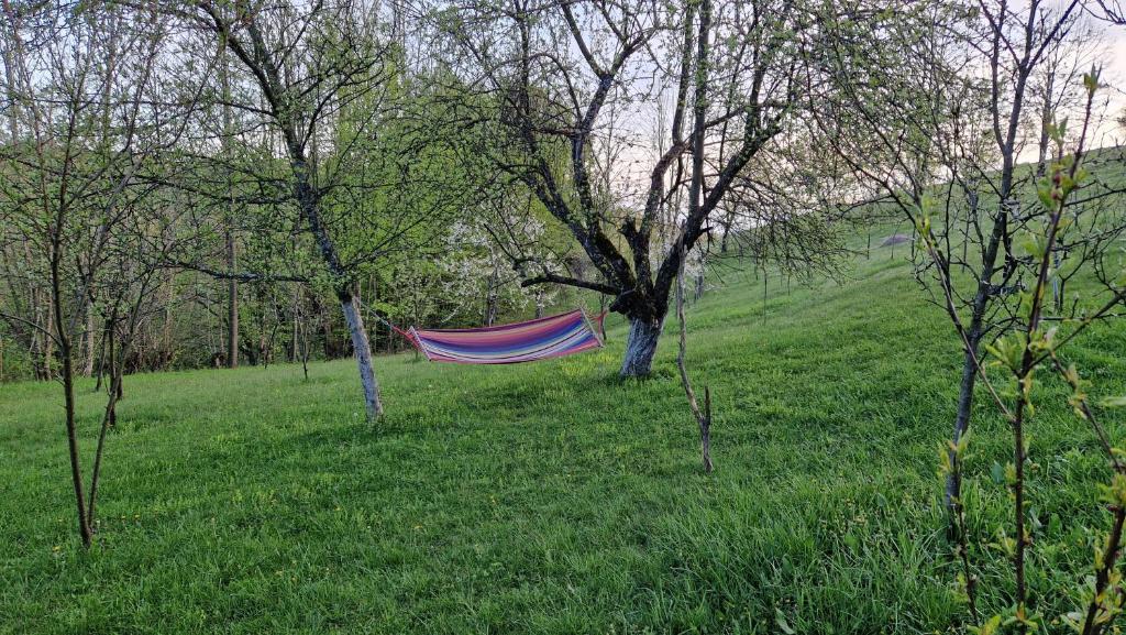Zahrada ubytování La sălaşul fermecat în Cheile Carasului