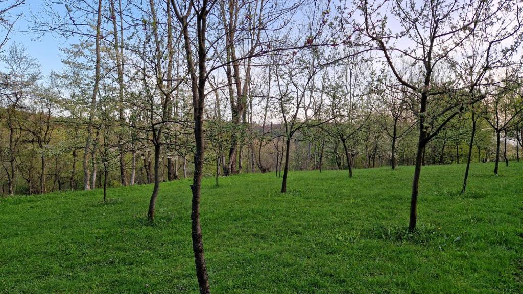 Zahrada ubytování La sălaşul fermecat în Cheile Carasului