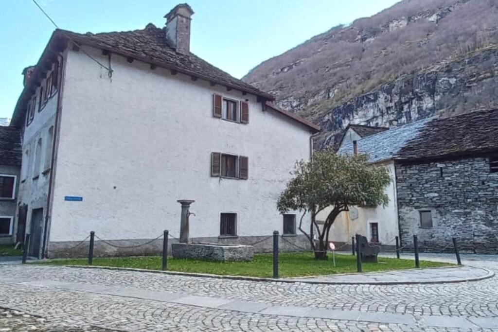 ein weißes Gebäude mit einem Baum vor einem Berg in der Unterkunft Armonia edificio storico del 1563. in Cevio