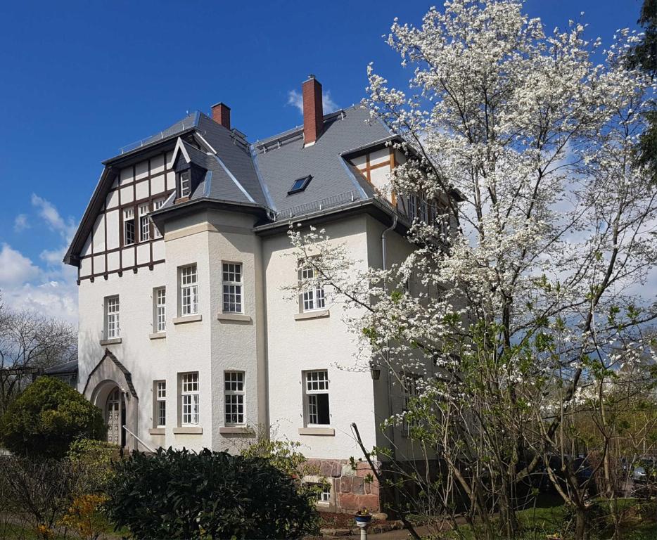 ein großes weißes Haus mit schwarzem Dach in der Unterkunft Parkvilla Bad Lausick in Bad Lausick