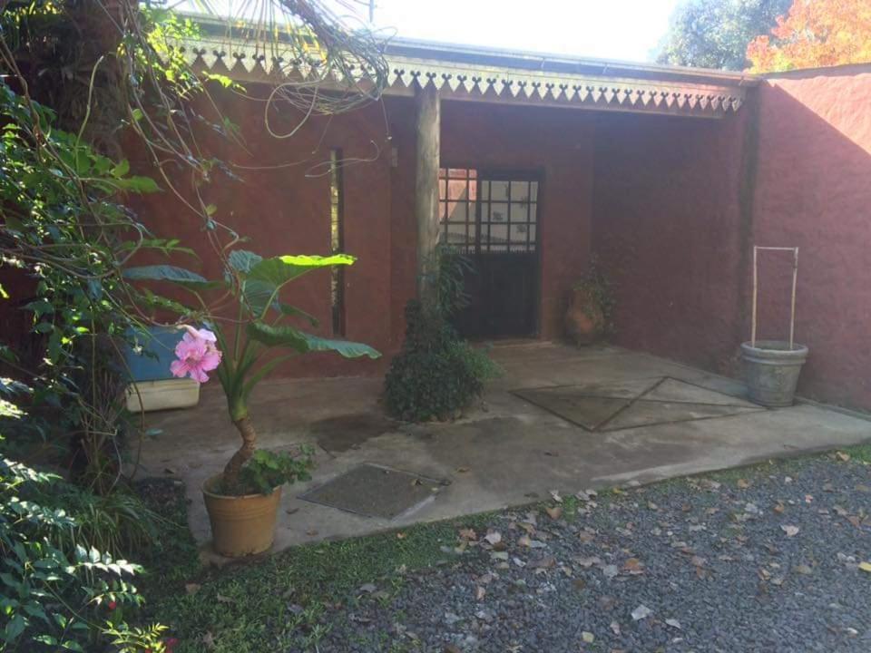 洛斯卡戴爾斯的住宿－La Escondida - Casa Quinta en los Cardales，一座种植了植物的小庭院和一座建筑
