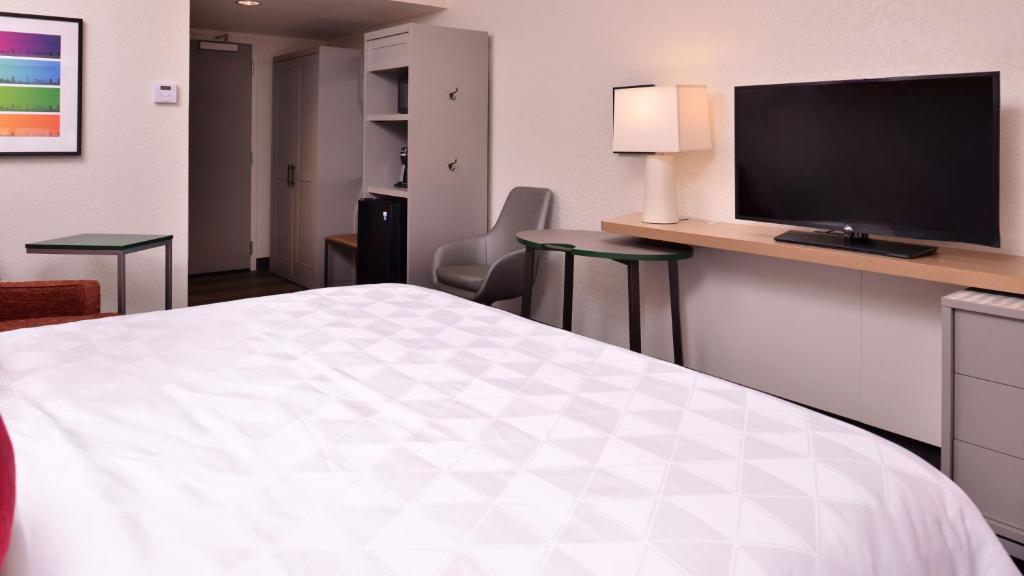 Holiday Inn & Suites Orlando I-Drive Theme Parks - Standard King Room
