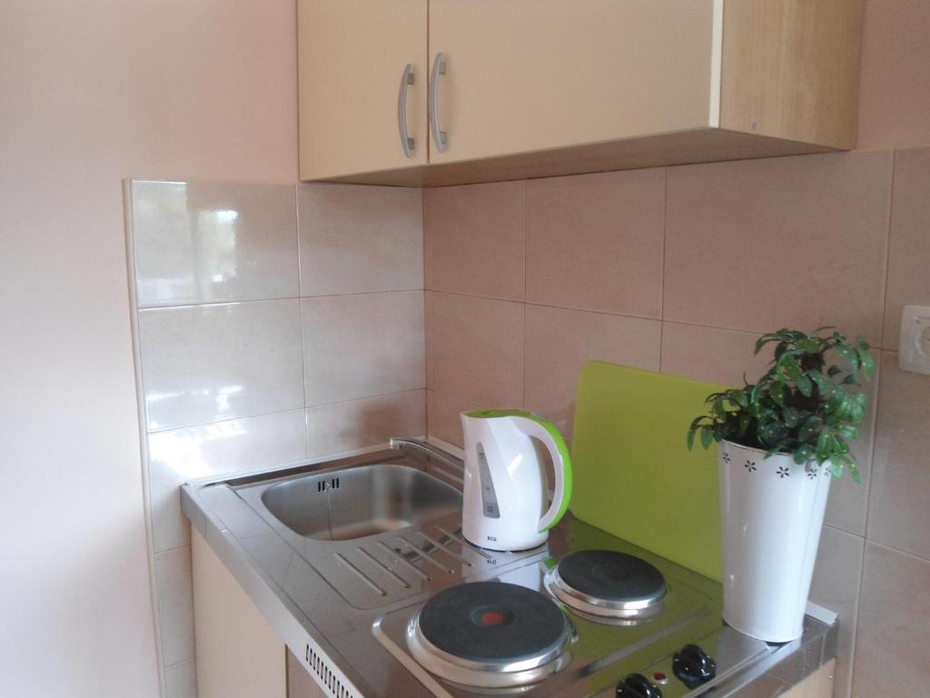 Apartment and Rooms Toka - 