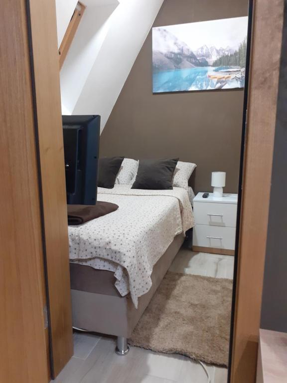 una camera da letto con un letto e una televisione di Apartman Planinski san Divčibare a Divčibare
