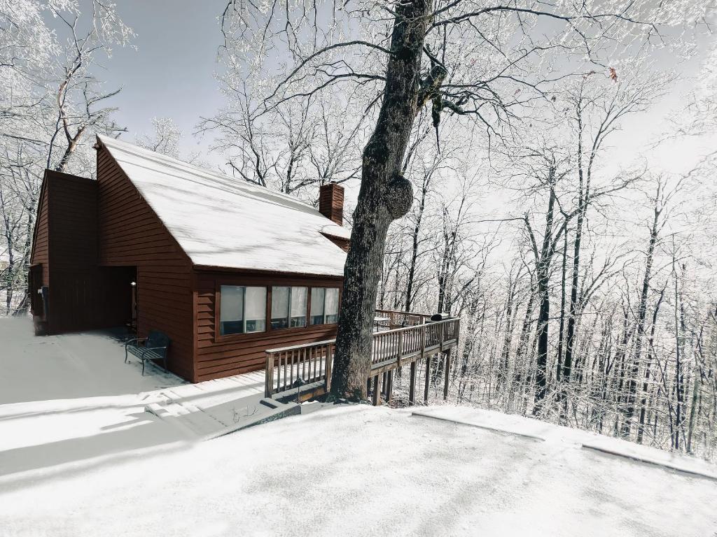 une cabane avec un arbre dans la neige dans l'établissement Winter Retreat at Oak Ledge! Ski Tips & Cozy Sips, à Lyndhurst