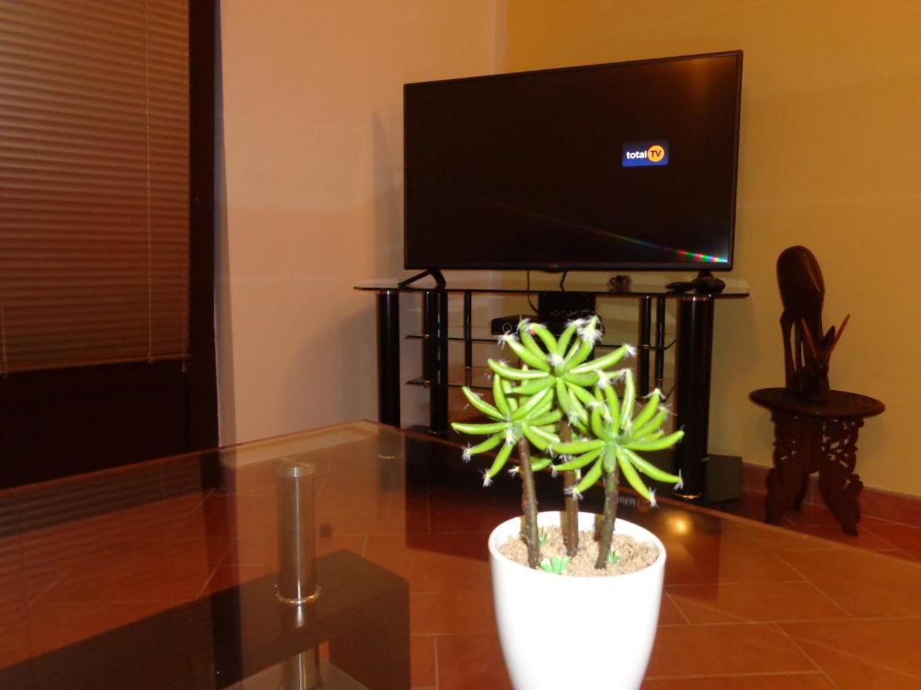 Apartments Ponta - 16