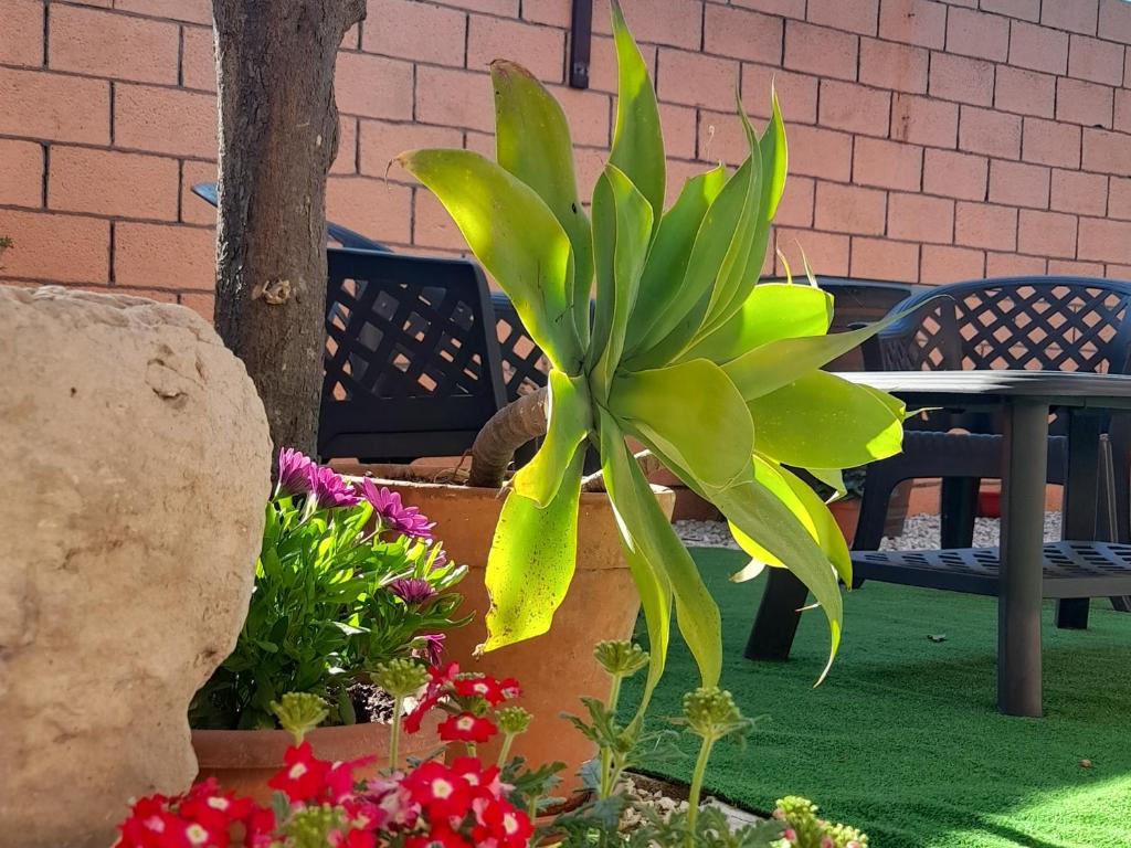 Su Fassoi Cabras - 14