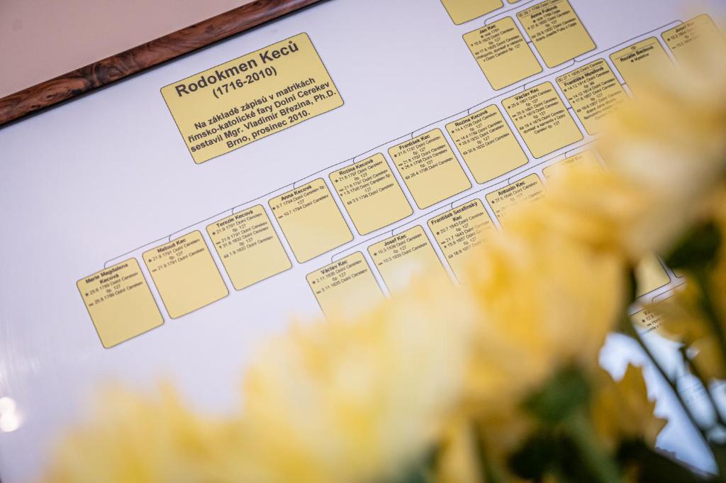 a menu for a restaurant with yellow flowers in the foreground at Vila Lumír in Poděbrady