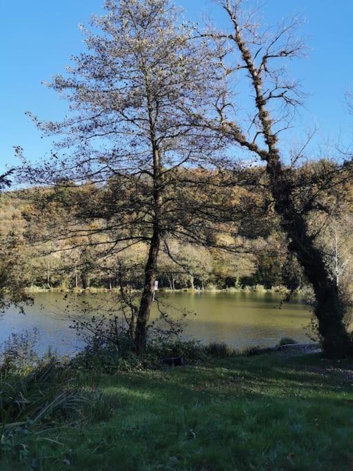 Príroda v okolí vily