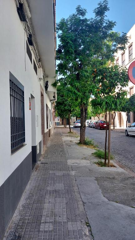 Loft Flor de Azahar parking privado - 2