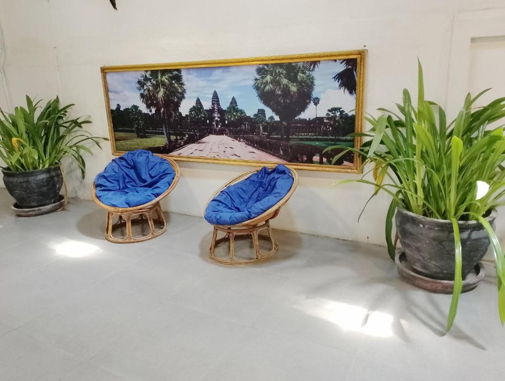 Zahrada ubytování Shalima Guesthouse