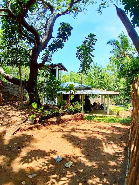 Zahrada ubytování Cashew Villa Hiriketiya