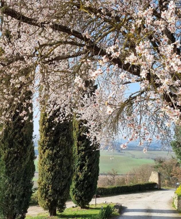 Zahrada ubytování Relais CastelBigozzi