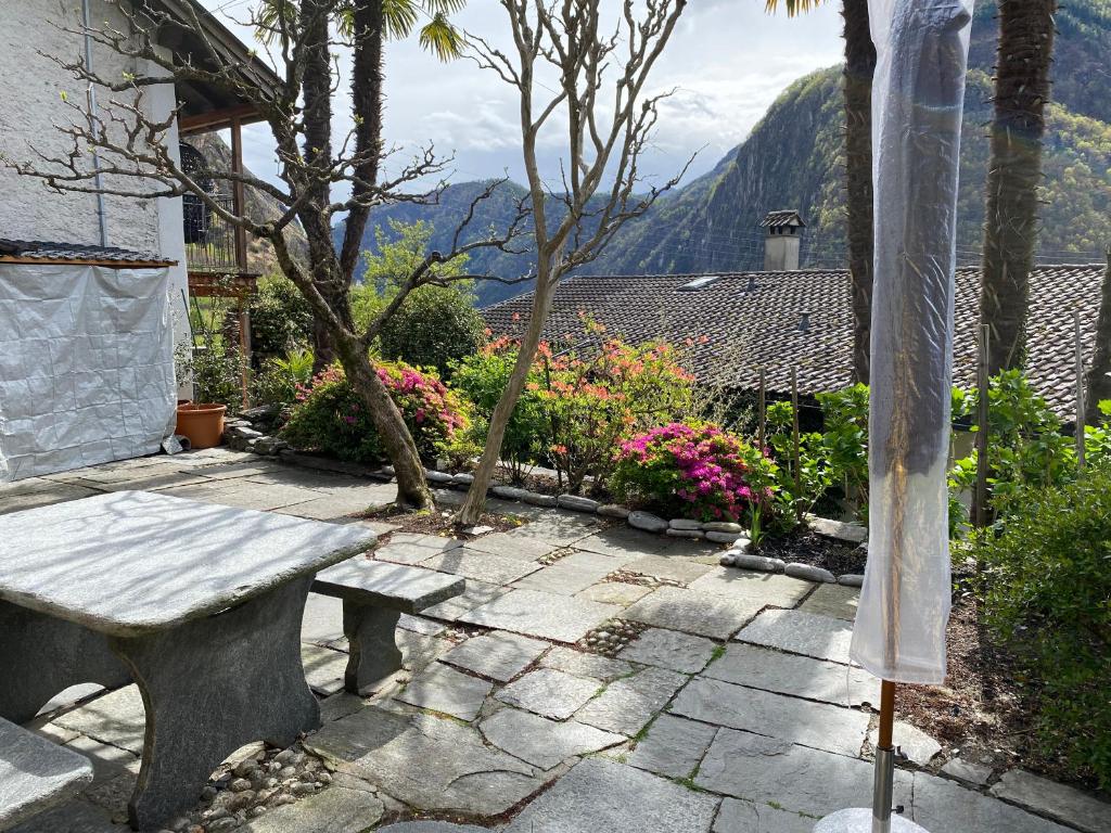 山景或在度假屋看到的山景