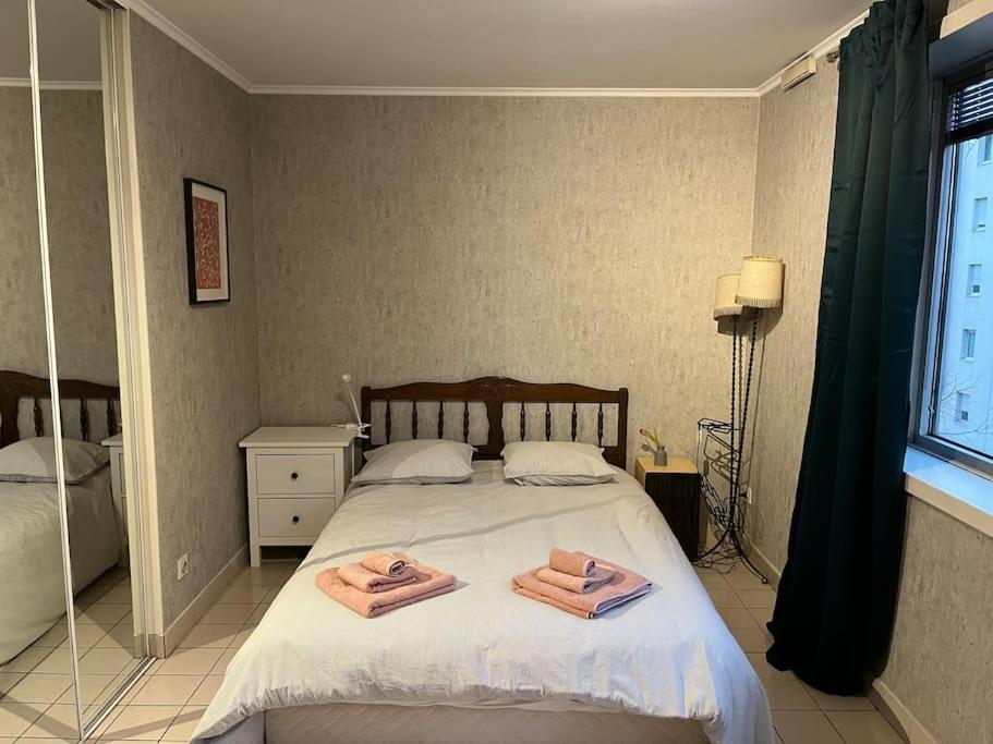 1 dormitorio con 1 cama con 2 toallas en Le Clos du Chateau Rouge 3* avec Parking securisé en Annemasse