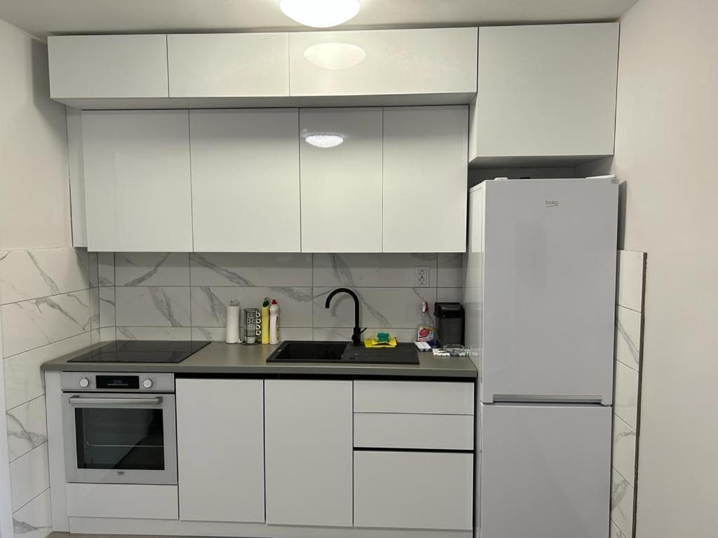 Kuchyň nebo kuchyňský kout v ubytování Kršić Apartman