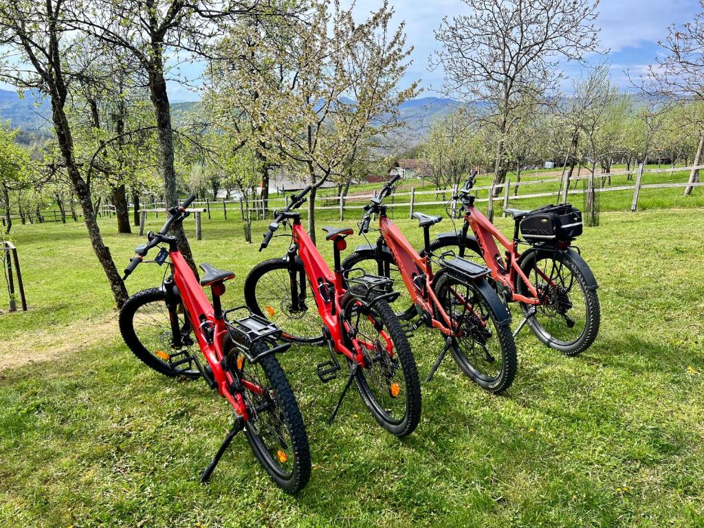 Jízda na kole v ubytování Guest house Domačija Krnc nebo okolí