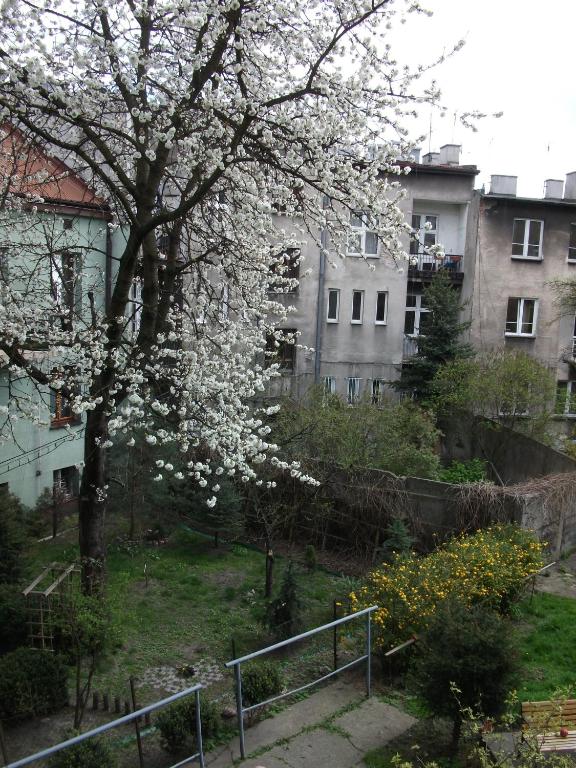 Vonkajšia záhrada v ubytovaní Dex