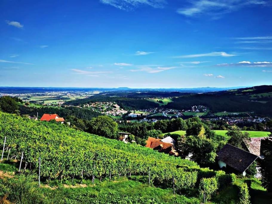 uma vista para uma vinha numa colina em WIEDNERMICHL - Urlaub in den Weinbergen em Krottendorf bei Ligist