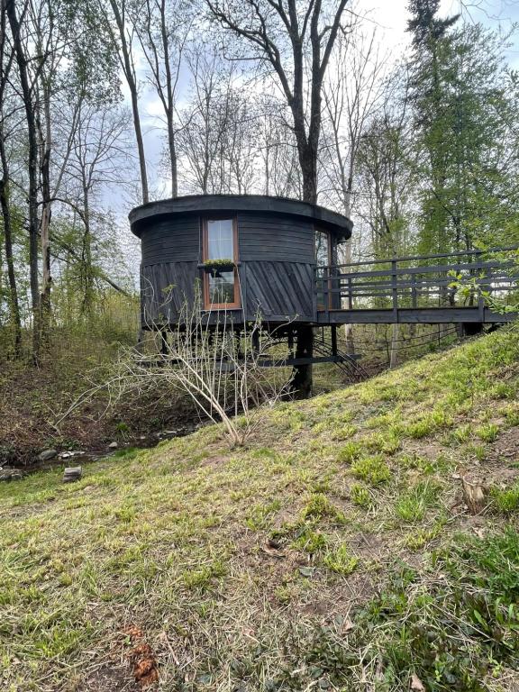 a tree house sitting on a hill in a field at Round house in Sigulda