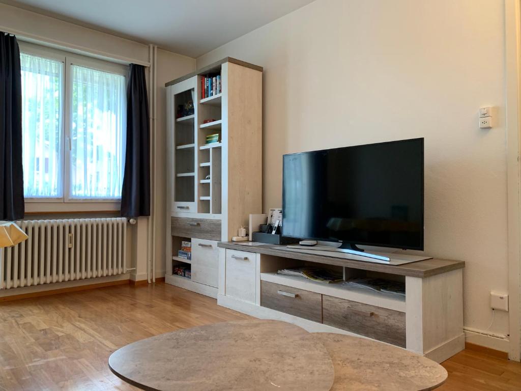 TV a/nebo společenská místnost v ubytování Ferienwohnung in Bern