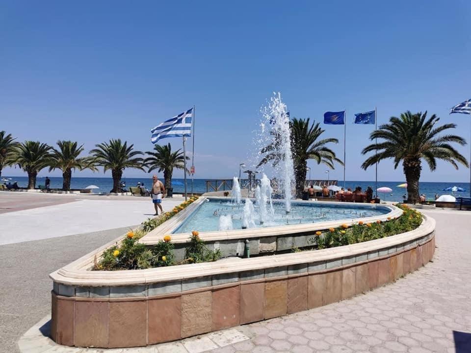 uma fonte em frente à praia com palmeiras em Paralia Elena em Paralia Katerinis